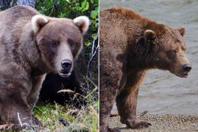 Grazer (left); Chunk