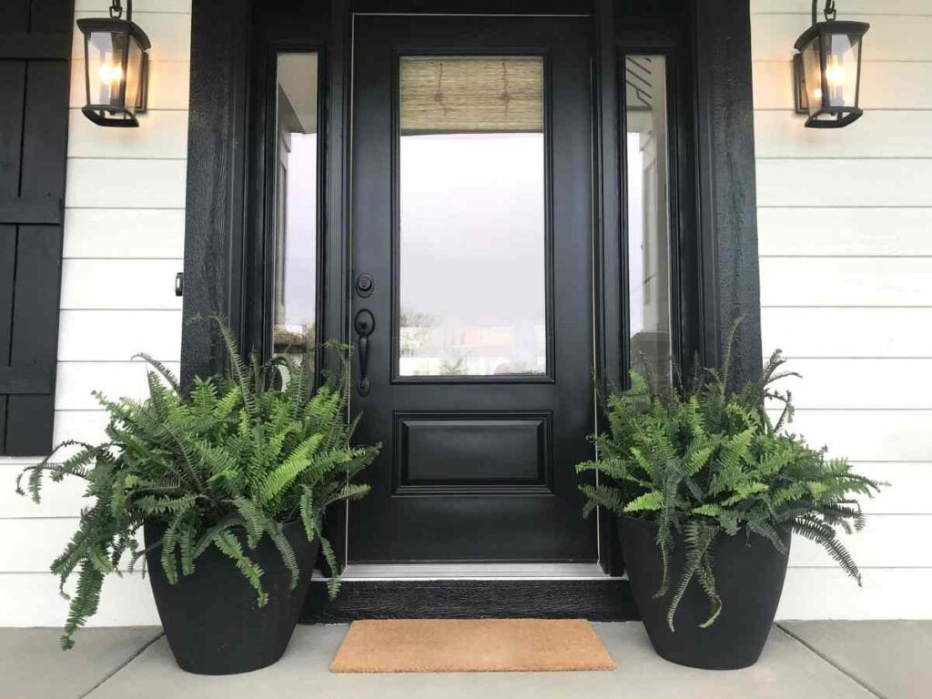 black painted front door with side lights; two large ferns next to doorway, white siding on house