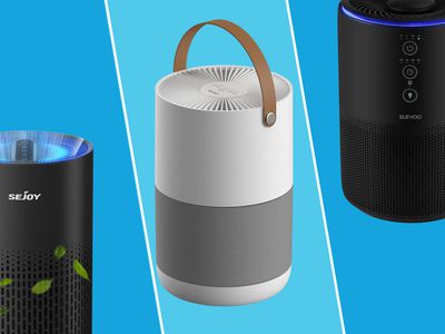 Walmart Air Purifier Sale tout